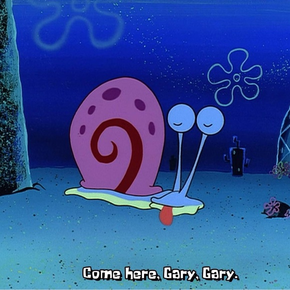 Meet your Posher, Kylie - Picture 1 of 1